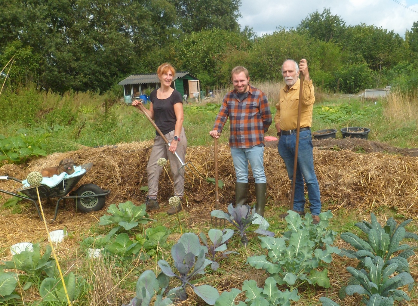 Moestuinkollektief De Witte Vlieg houdt informatieavond in Assen