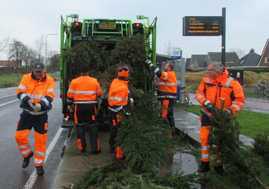 De gemeente Assen komt de kerstbomen weer ophalen