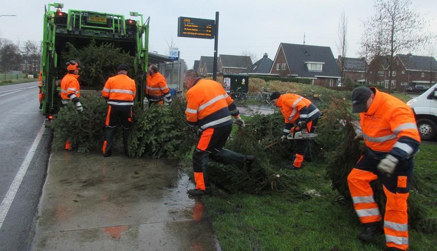 Kerstbomen opruimen met stormkracht in Assen (Video)