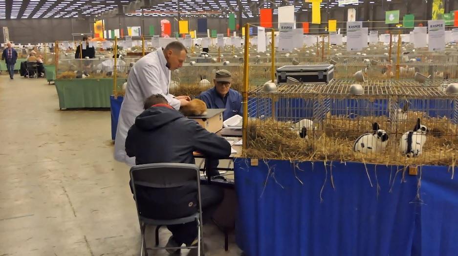 Noordshow in TT Hall Assen gestart (Video)