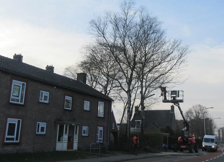Bomen Thorbeckelaan gekapt voor sloop van woningen (Video)