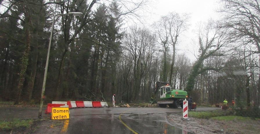 Bomenkap ten oosten van Mandemaattunnel