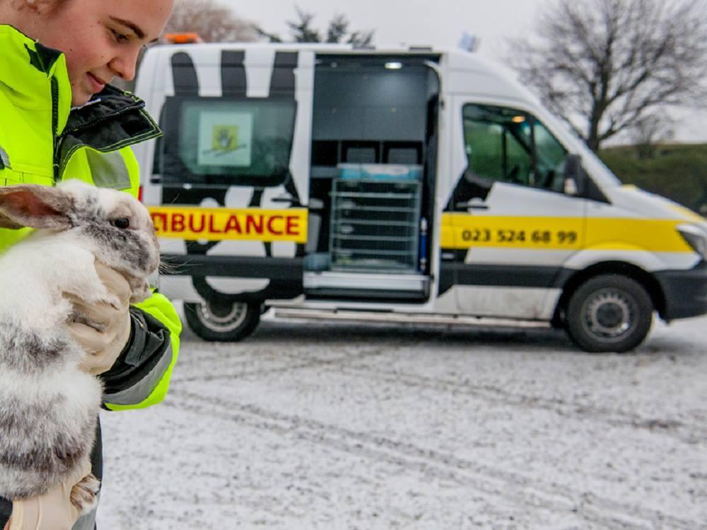 Haal je dierenambulance-diploma aankomende zondag