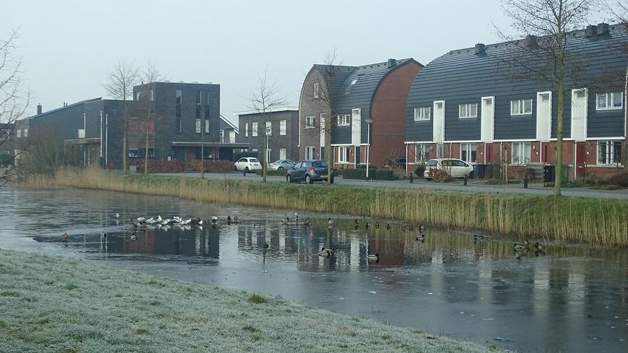 Vorst en schaatsen, denk ook aan de vogels !