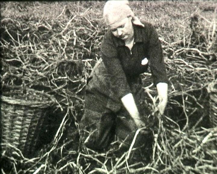 Themafilm  Vrouwen kiezen  in Drents Archief