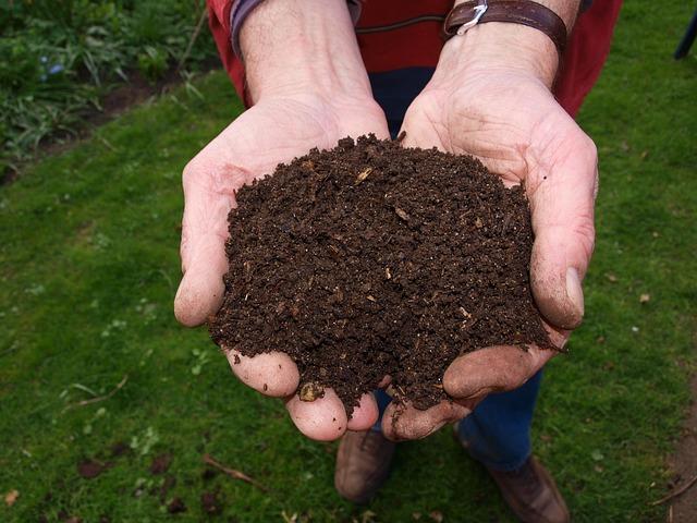 Gratis compost van gemeente Assen beschikbaar