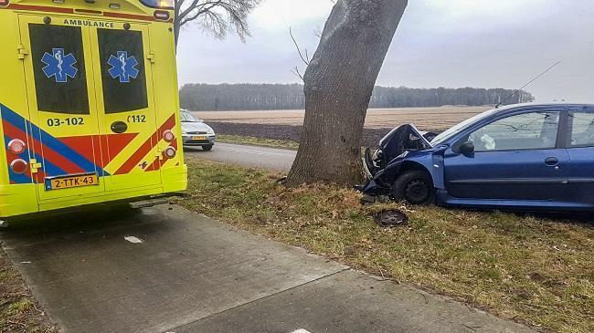 Auto botst tegen boom in Hooghalen