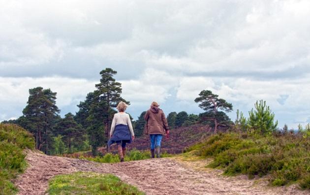 Humanitas is op zoek naar maatjes