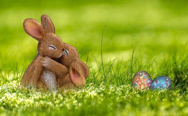 Eieren zoeken bij kinderboerderij Beekdalhoeve in Marsdijk