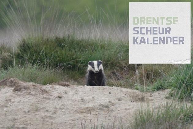 Drentse Scheurkalender zoekt nog naar bijdragen