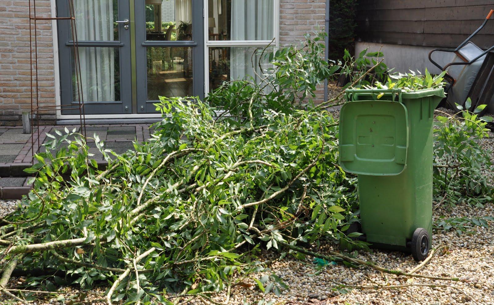 Lever uw snoeiafval gratis in op het milieupark Assen