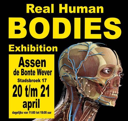 De nieuwste editie 2018 van REAL HUMAN BODIES in Bonte Wever