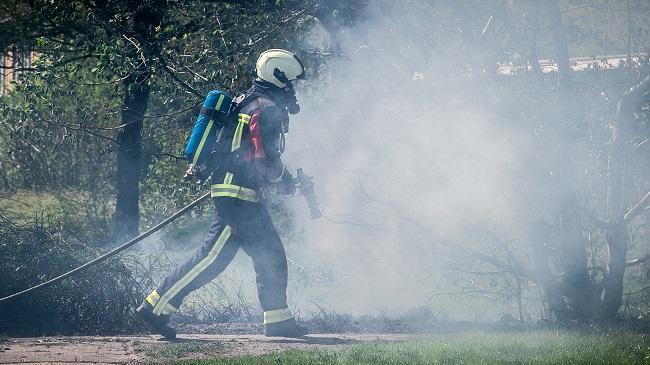 Brand in bosje in Noorderpark