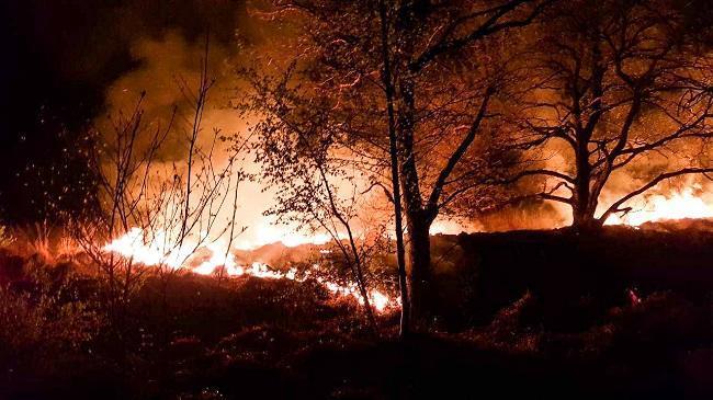 Grote natuurbrand bij Baggelhuizen