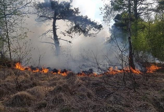 Opnieuw brand in natuurgebied Baggelhuizen (Video)