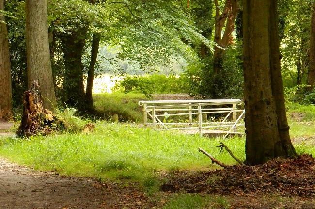 Landelijke Wandeldag met ANWB Lenterondjes in Drenthe