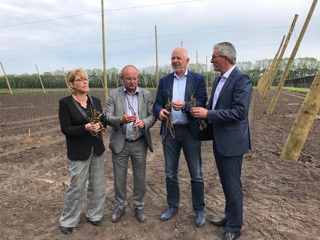 Gedetineerden aan de slag op nieuw hopveld in Veenhuizen