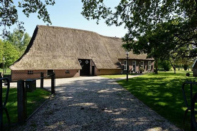 Te koop in Assen: rietgedekte monumentale Saksiche woonboerderij