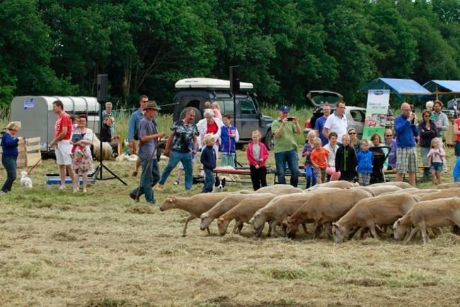 Schaapscheerderfeest komend weekend in Marsdijk