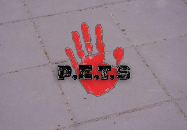  P.E.T.S.  nieuwe interactieve lesmethode over pesten voor scholen