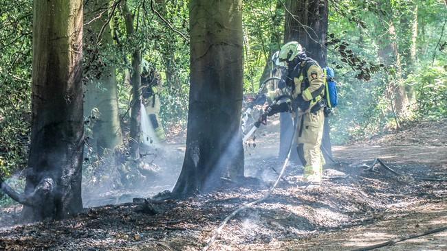 Natuurbrand in bos bij Tynaarlo