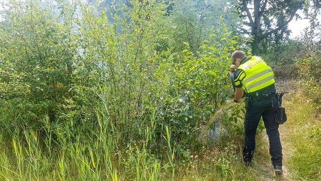 Politie blust natuurbrandje in Pittelo