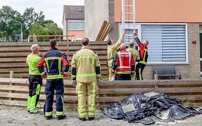 Brandweer redt vogel uit benarde positie