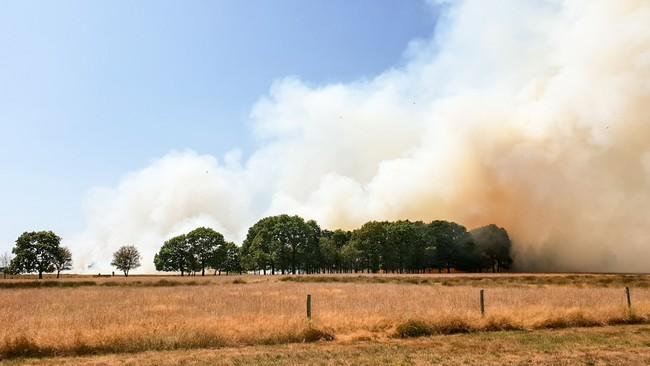 Campings ontruimd bij zeer grote natuurbrand 