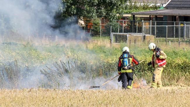 Brand in graanveld bij Kloosterveen (Video)