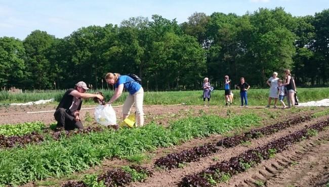 De Herenboeren overtreden de wet, CDA-fractie wil actie