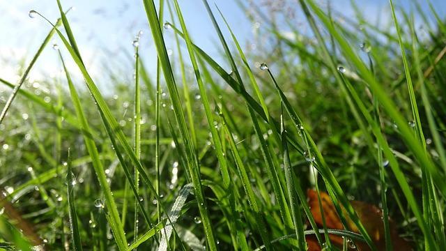 Subsidie voor sensoronderzoek in Zeijen