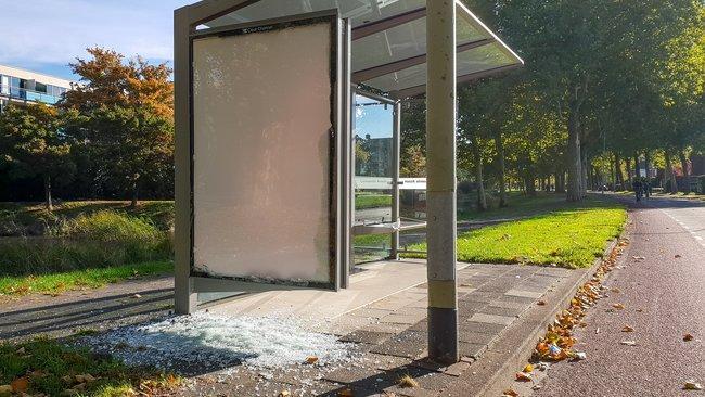 Noorderpark opnieuw doelwit van vernielingen (Video)