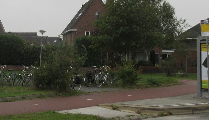 Teveel boompjes in fietsenstalling Kloosterveen