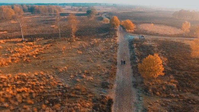 Filmpje: Herfstbeelden van het Balloërveld