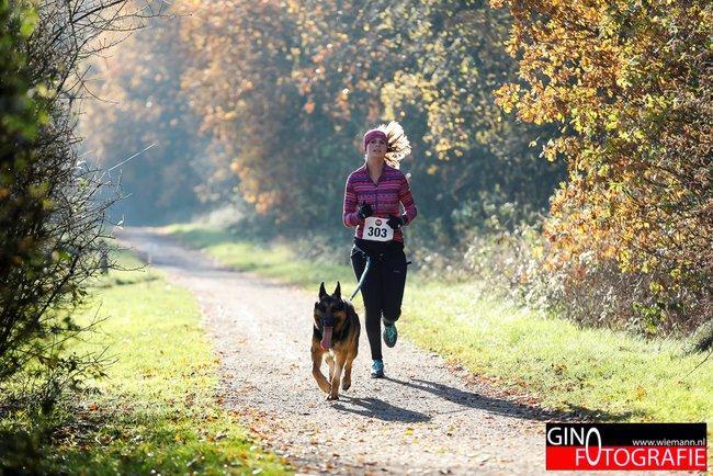 Fotos: Zevende editie Baggelhuizercross voor mens en dier