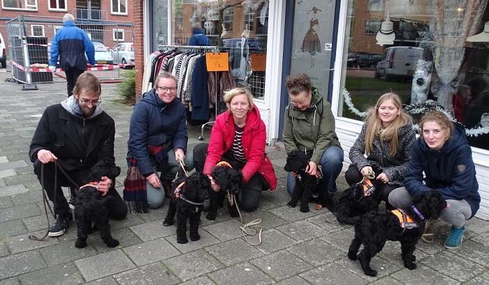 Hulphonden van Stichting Hero in centrum van Assen