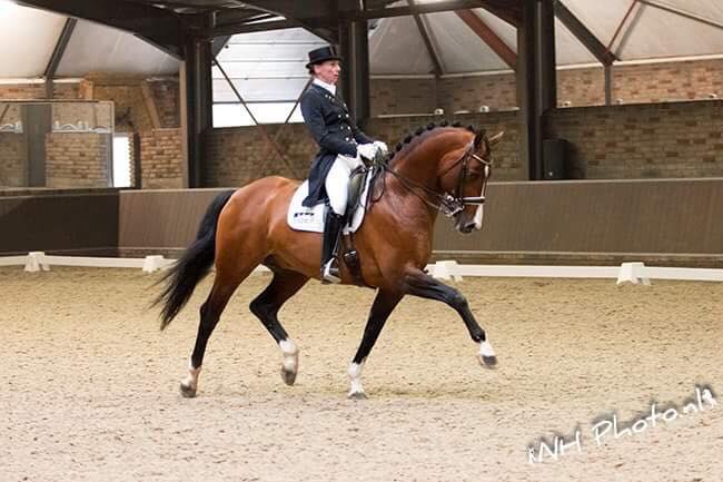 Hippische toppers en vloggers aan de start in Assen