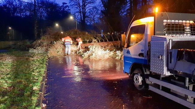 Tweede boom bij de Hertenkamp in Assen bezwijkt door wind