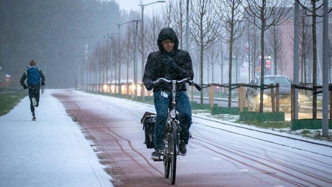 Assen bedekt onder een laag sneeuw