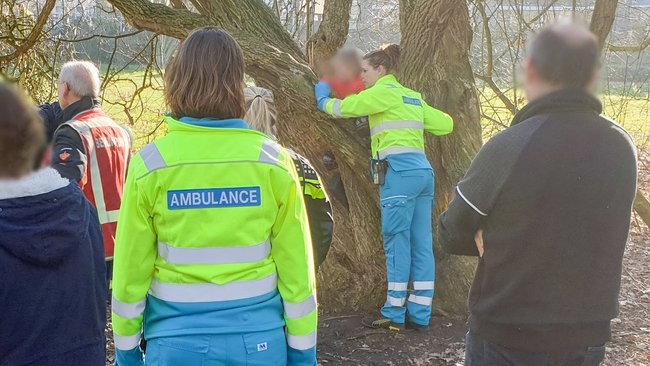 Meisje komt klem te zitten in boom Pittelo