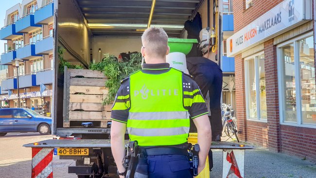 Hennepkwekerij in centrum van Assen opgerold