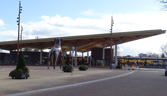 Stationsplein Assen ingericht met planten en bakken