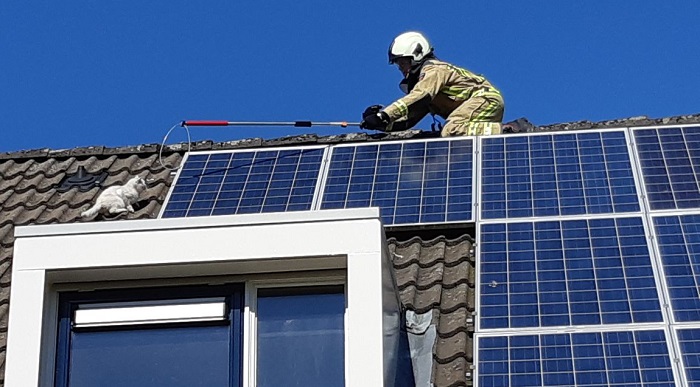 Brandweer redt poesje van dak woning