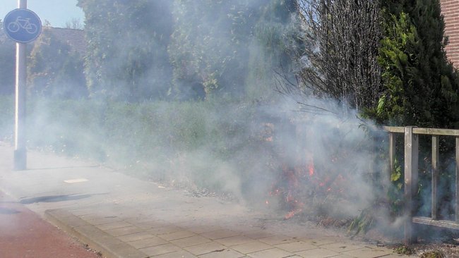 Coniferen in de brand in Noorderpark (video)