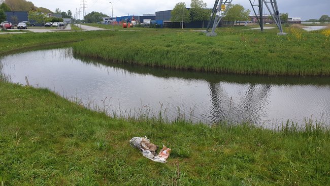 Dode huisdieren in plastic zakken aangetroffen in Assen (video)