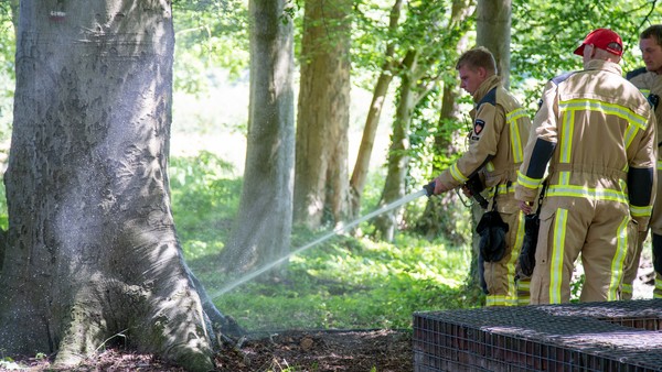 Boom op landgoed Valkenstijn in de brand gestoken (Video)