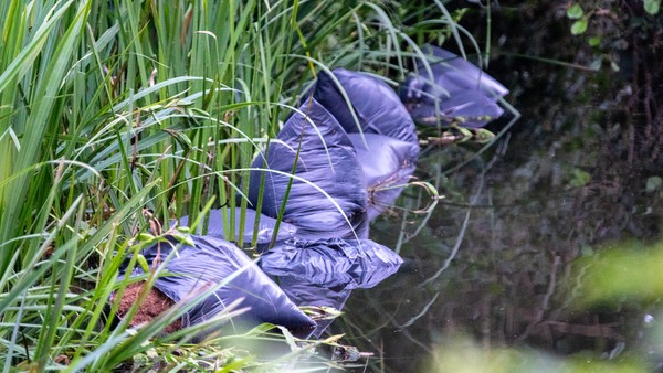 Zakken met drugsafval bij Zeijen gedumpt