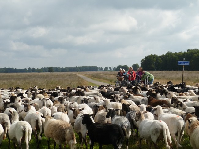 Het Drentse Landschap organiseert fietstocht in Assen