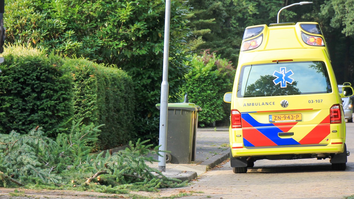 Boomverzorger raakt gewond tijdens werkzaamheden in Assen