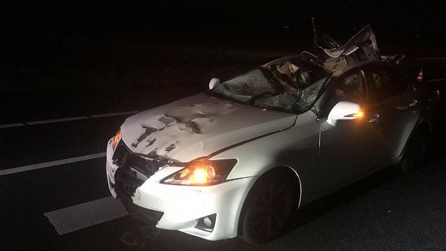 Paard overleden bij aanrijding met auto op A28 bij Assen